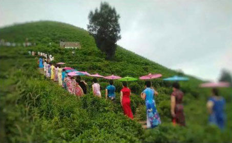 玉環(huán)火山茶基地舉辦首屆旗袍走秀活動＂當(dāng)旗袍遇見火山茶的美麗邂逅＂。