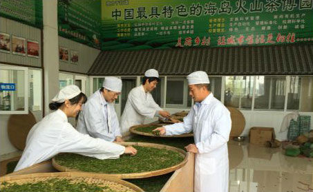 浙江大學(xué)湯一教授親自帶團隊來火山茶基地支持火山紅茶研發(fā)。